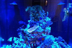FTS Feb 2012