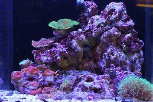 FTS January 19, 2015