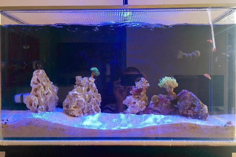 Cad Lights 34g Mini-II Thumbnail
