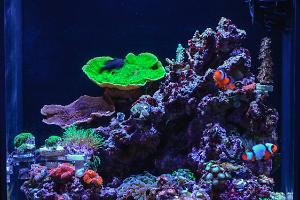 FTS April 5, 2015