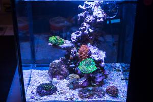 FTS April 04, 2015