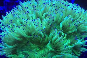 FTS May 6, 2015