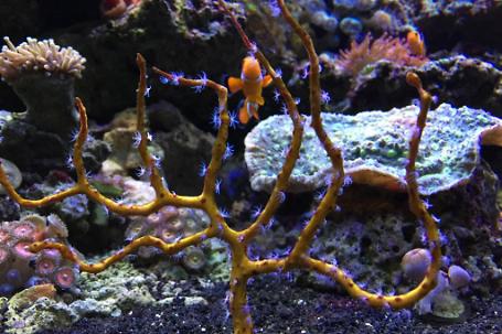 FTS May 6, 2015