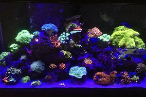 FTS May 6, 2015