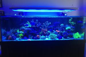 FTS July 31, 2015