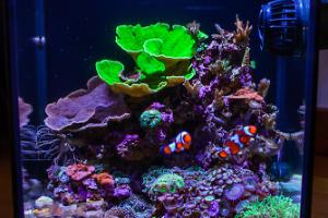FTS September 4, 2015