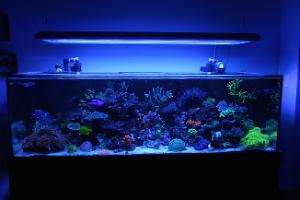 FTS September 14, 2015