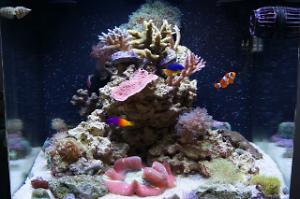 FTS 2012-03-07