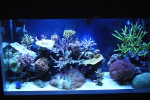 FTS February 16, 2013