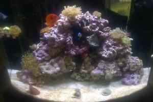 FTS December 5, 2015
