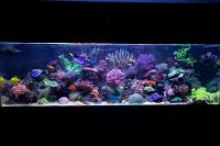 FTS December 10, 2015