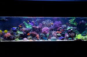 FTS December 10, 2015