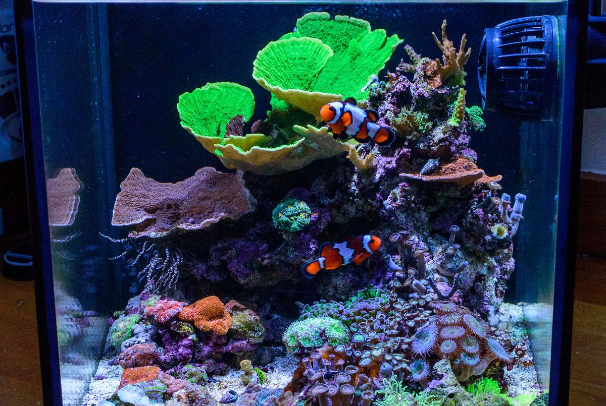FTS November 14, 2015