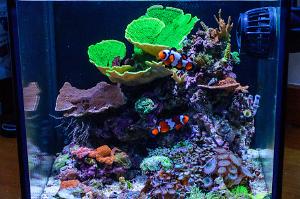 FTS November 14, 2015