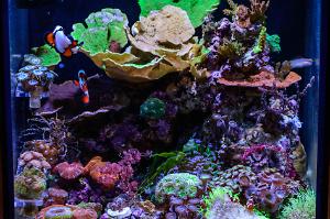 FTS January 3, 2016