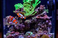 FTS April 27, 2016