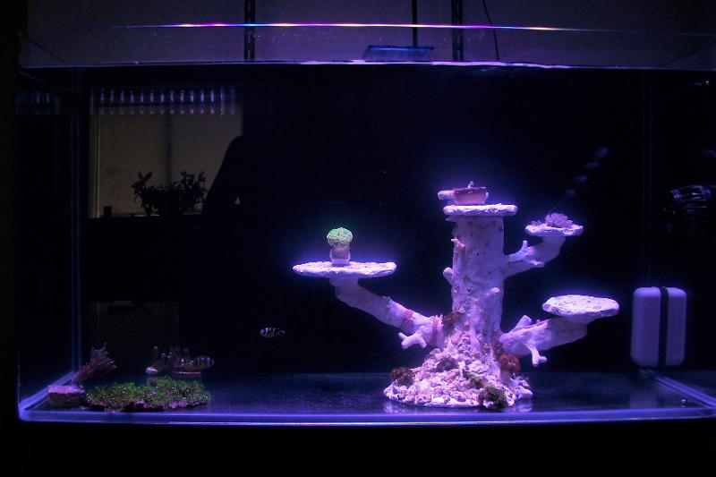 CADLights 34g Thumbnail