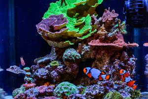 FTS July 31, 2016