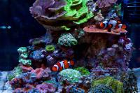 FTS August 18, 2016