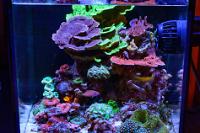 FTS October 2, 2016