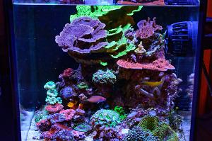 FTS October 2, 2016