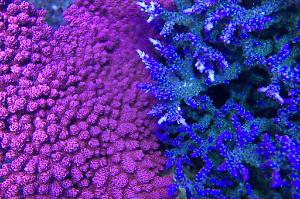 FTS November 2, 2016