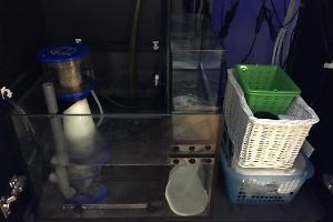 My Aquarium on December 10, 2016