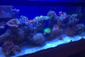 75gal Thumbnail