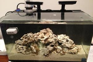 Nano Reef Thumbnail