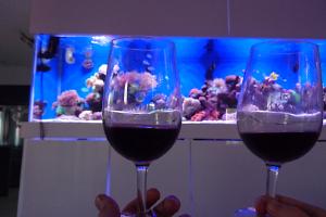 My Aquarium on May , 2016