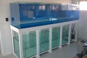 My Aquarium on September 2015