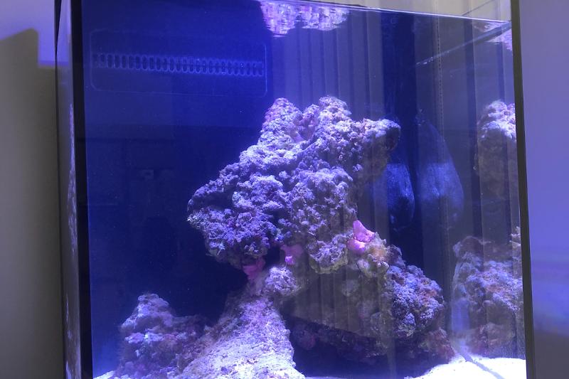 Red Sea max Nano Thumbnail