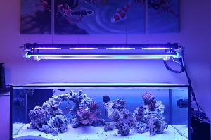 FTS April 9, 2013