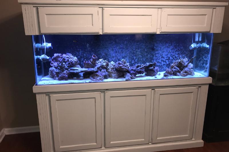 Main Display Tank Thumbnail