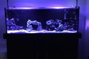Entrance Hall Tank Thumbnail