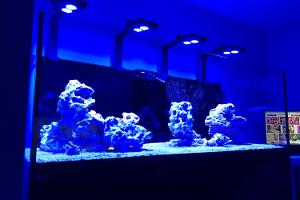 Jonno's Reef Thumbnail