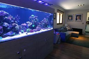 Reef Tank Mario Thumbnail