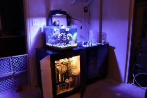 Display Tank Thumbnail