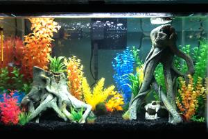 29 Gal Thumbnail