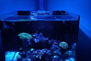 Mogsy31tank on Sep 6, 2018