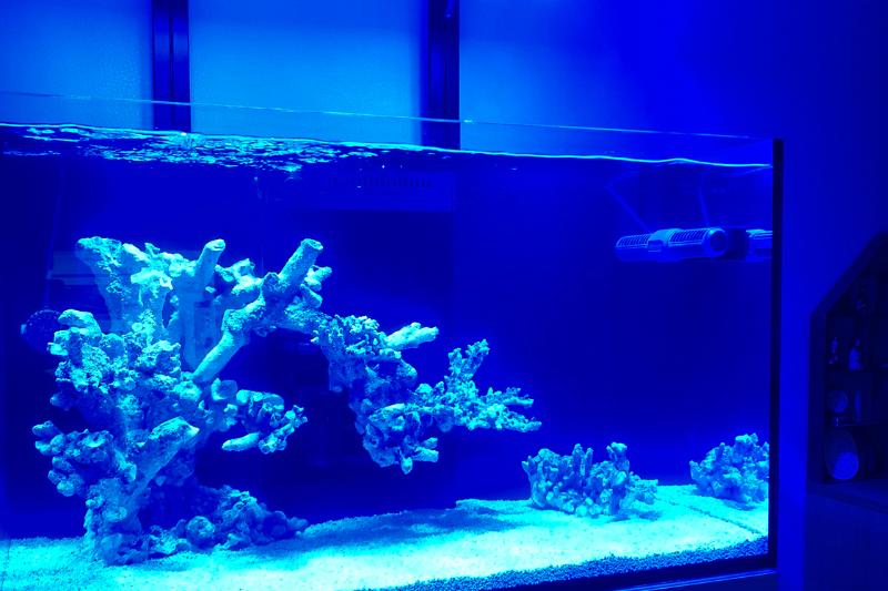 Yije redsea reefer 250 Thumbnail
