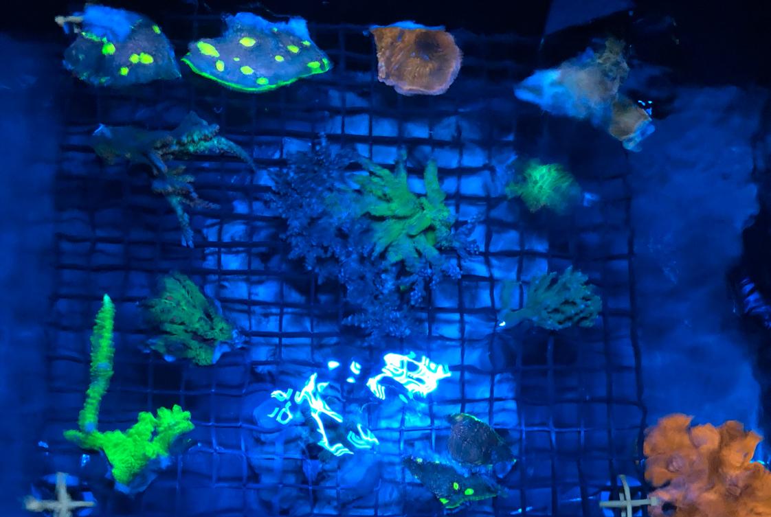 Quarantine on Oct 7, 2018
