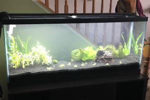 Sam’s Aquarium Thumbnail
