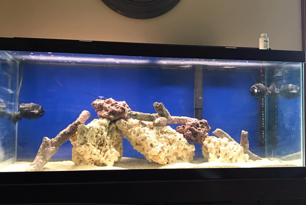 Brandons Tank on Jan 4, 2019