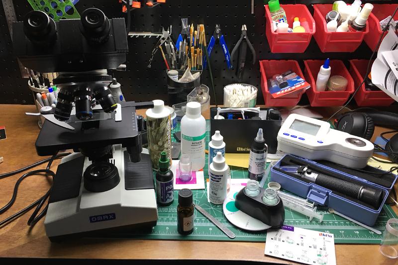 Lab & DIY Thumbnail