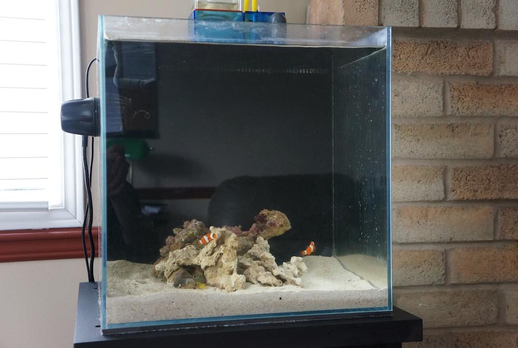 FTS May 20, 2013