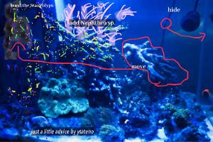 K5system on Jul 9, 2019