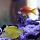 bluemoonreef on Dec 1, 2020