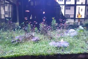 Reefer 170 on Aug 3, 2019