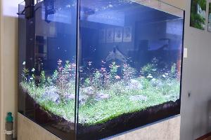 Reefer 170 on Aug 3, 2019
